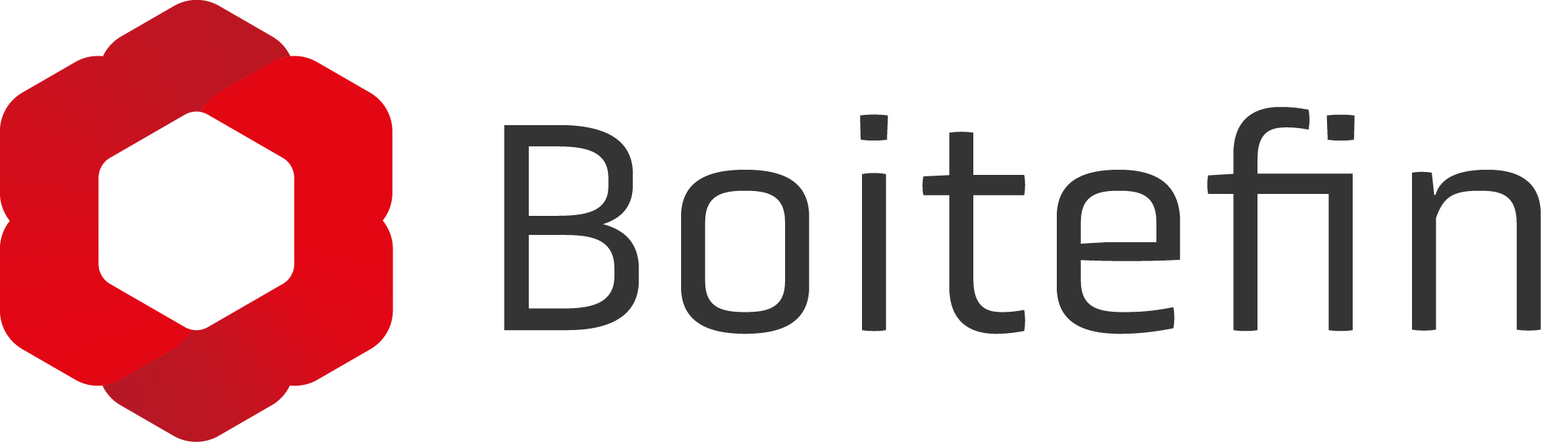Boitefin Logo