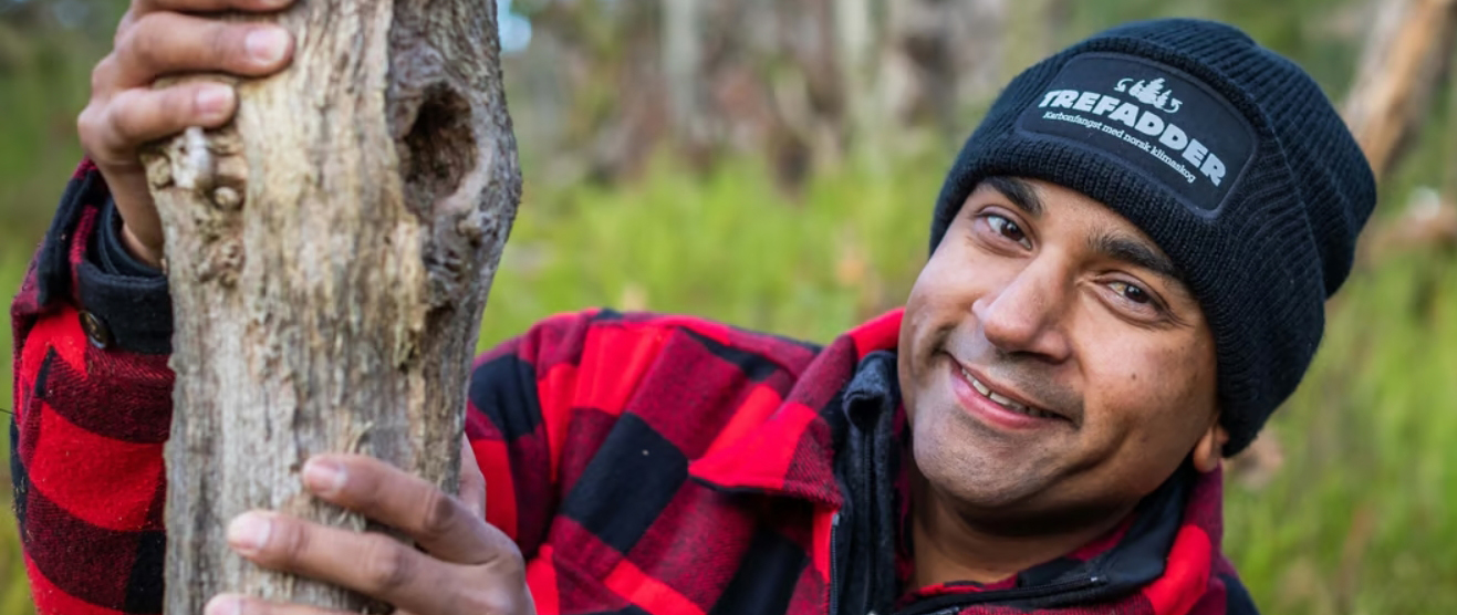 Forest project developer