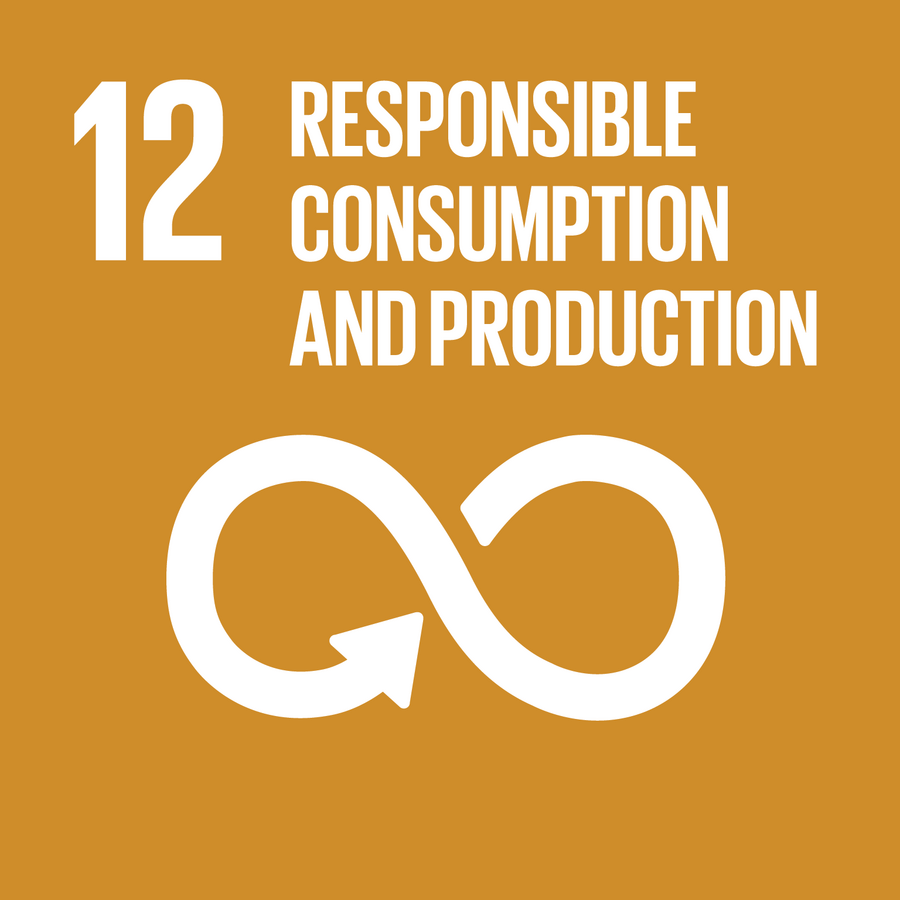 UN SDG 12: Responsible Consumption and Production