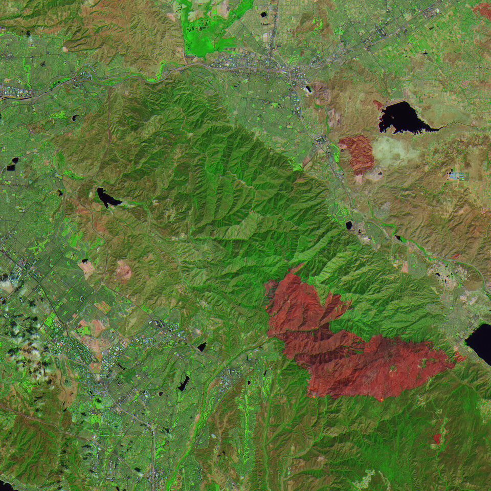 Forest recovery monitoring
